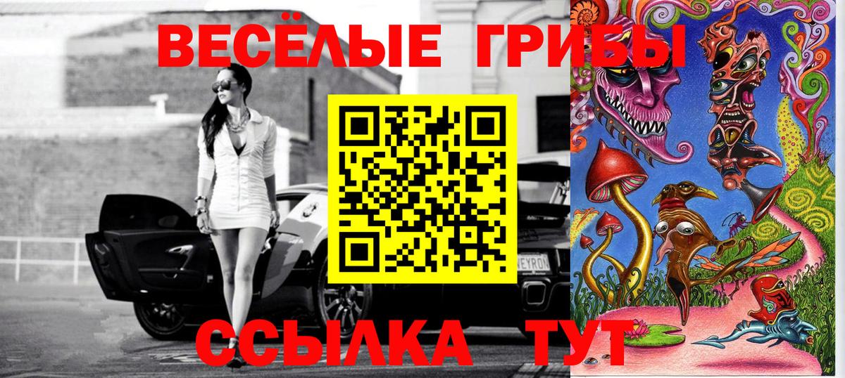 купить  цена  Псилоцибиновые грибы Cubensis  Вход с VPN  Орск 
