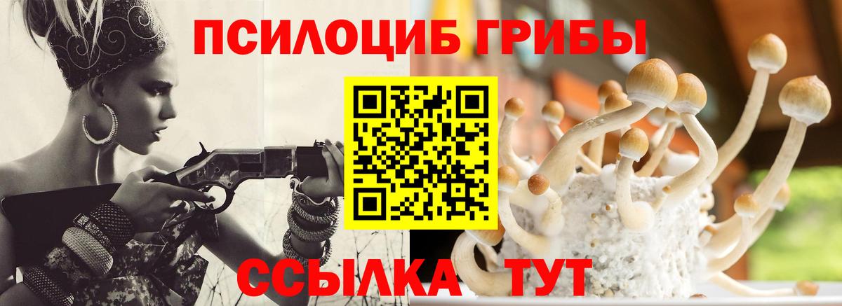 Галлюциногенные грибы Magic Shrooms Орск